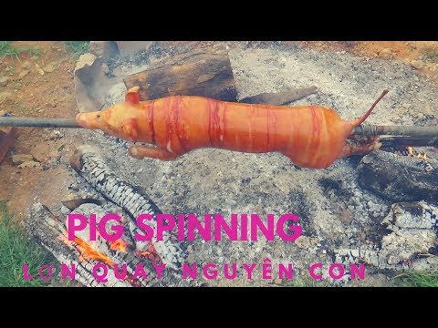 LỢN QUAY TÂY BẮC  |  Crispy Roast BBQ Whole Pig Hog