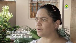 vídeo: Dicas simples podem eliminar aedes