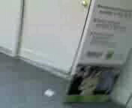 fernanda inside the box at landmark mall