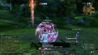 旧FF14　メインクエスト イベント戦闘(グリダニア)