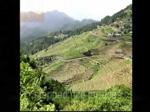 The Satoyama Initiative:Toward a rural society in harmony with nature