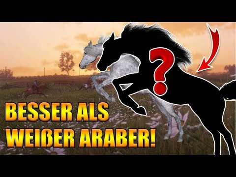 Bestes Pferd in Red Dead Redemption 2 - Besser als der weiße Araber!