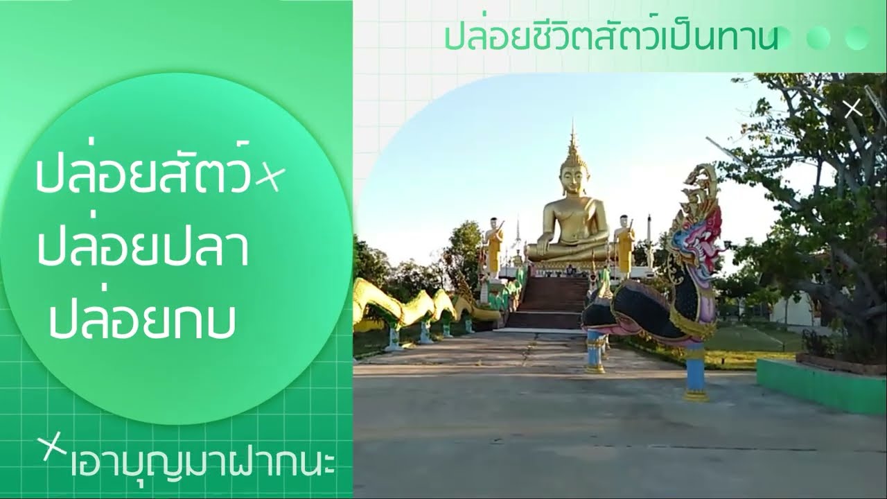 รูปภาพ ดาวโหลด Google Youtube SEO