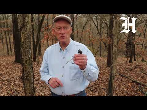 Morels need the perfect temperature