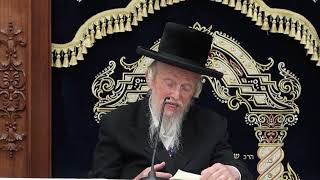 שיעור מיוחד חג השבועות באור החסידות ,הרב חיים שלום דייטש - בית המדרש פני מנחם שנת תשפ"ה