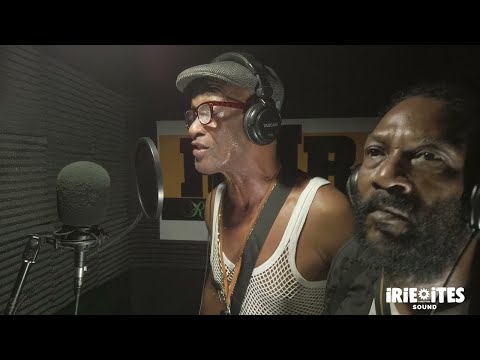 U Brown & Junior Cat & Irie Ites - Special (Dubplate)