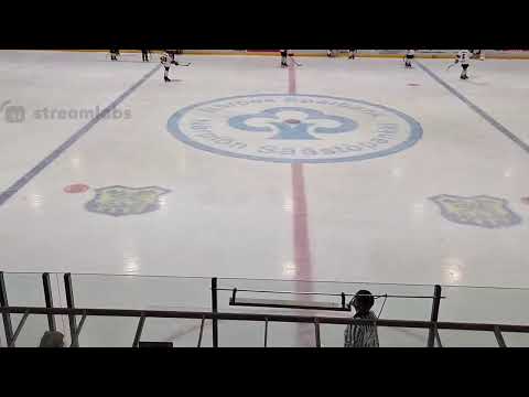 U13 Kraft Hockey vs S-Kiekko Sininen 23.1.2022