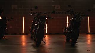 Harley-Davidson® X350 & X500