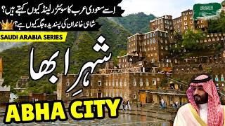 Abha City Travel | Facts and Documentary About Abha City in Urdu Hindi | ابھا کی سیر | info at ahsan