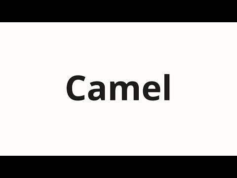 How to pronounce Camel