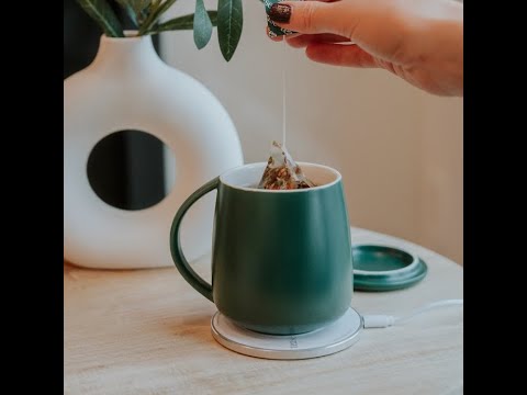 Smart Heated Mug Kit 2.0 Instructions and Trouble Shooting