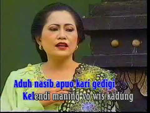 download lagu mp3 mp4 Lagu Banyuwangi Ancur Lebur, download lagu Lagu Banyuwangi Ancur Lebur gratis, unduh video klip Lagu Banyuwangi Ancur Lebur