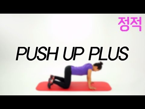 [건정공] Push up plus 정적운동ㅣ허리디스크  운동영상 홈트레이닝 뱃살 복근운동 힙업 건강 다이어트