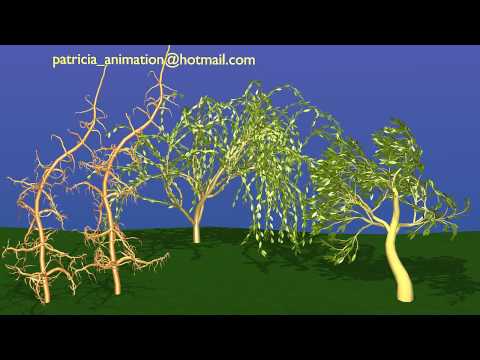 Animated 3D Tree Animated Roots — polycount