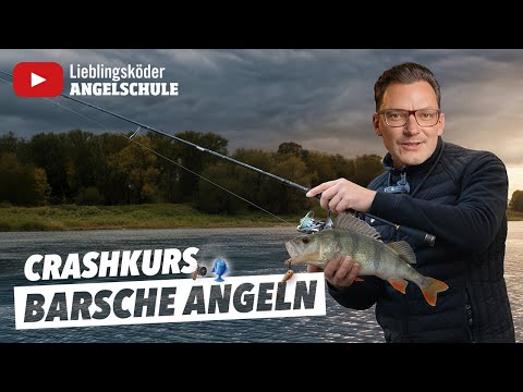 BARSCHANGELN im Oktober – So fängst du jetzt! 🎣 🔥
