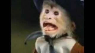 Todd Rundgren Cowboy Monkey Mystery Song.mpg