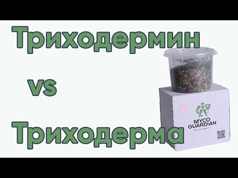 Триходерма Вириде (Trichoderma Viride) 0.5 л, биофунгицид зерновой мицелий гриба, MYCO GUARDIAN - фото 5 - id-p2108993095