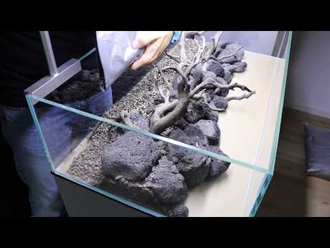 Watch Video on YouTube