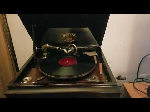 La Paloma, Emilio de Gorgorza, vintage recording on vintage phonograph.