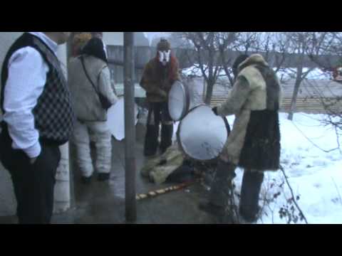 URSUL DIN CONTESTI 2