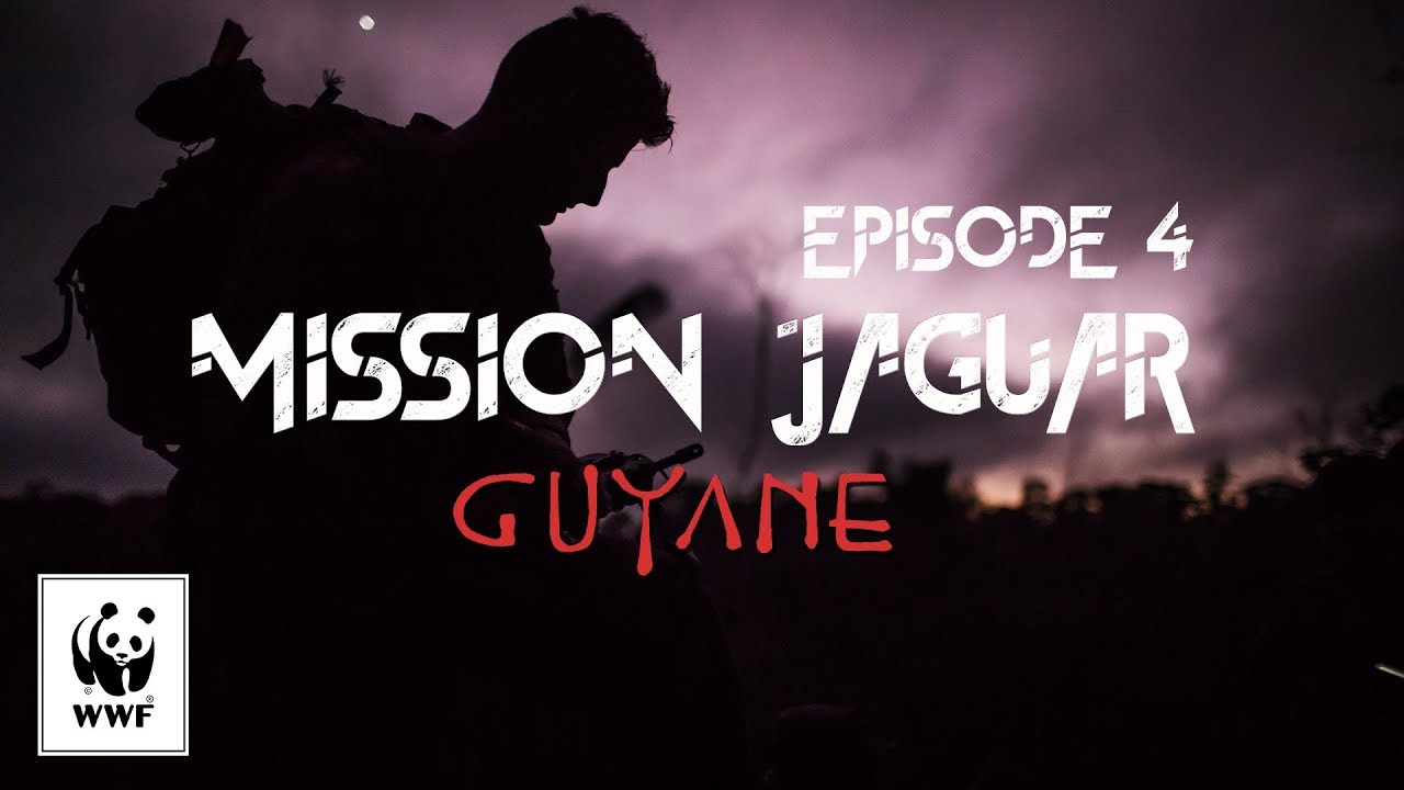 Mission jaguar Guyane - Épisode 4