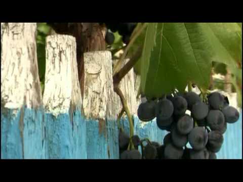 Bessarabien - wer nicht weiß, woher er kommt, der weiß auch nicht, wohin er geht...