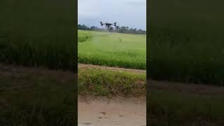 Download lagu drone mp3