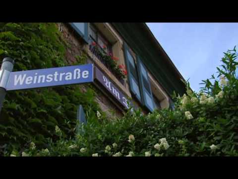Genussradeln zur Mandelblüte