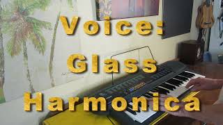 Video thumbnail for Casio CTK 80 Music Keyboard.   Fun With Vintage Keyboard. by Rich Davis