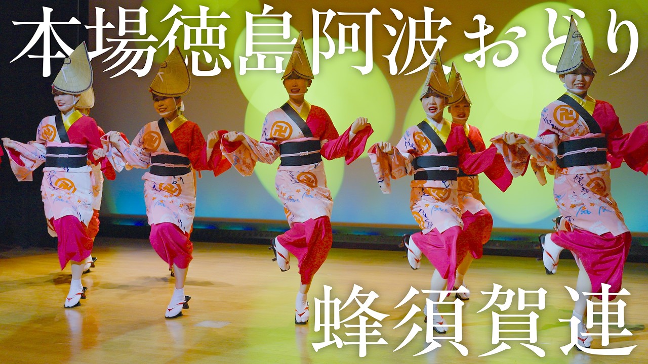 【阿波踊り】阿波おどり会館2025 蜂須賀連 優雅さと迫力が共鳴する渾身の舞 | Awaodori in Tokushima, Japan