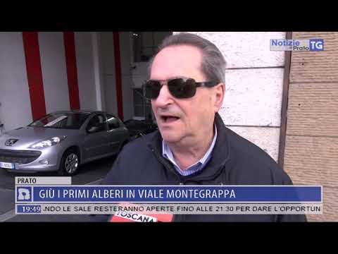 2019-01-19 NOTIZIE DI PRATO TG ORE 19.45