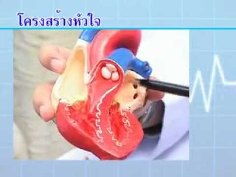 ที่จะได้รับประโยชน์จากโรคสะเก็ดเงิน ยาเสพติดสำหรับข้อศอกโรคสะเก็ดเงิน