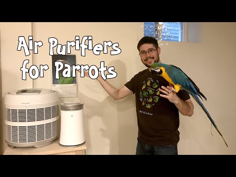 YouTube video about: Does medicaid pay for air purifiers?