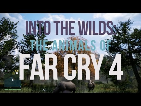 Far Wilds PC