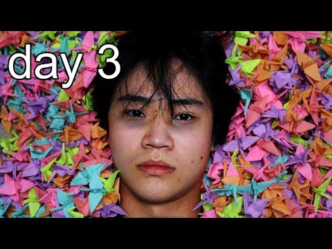 i folded 1000 paper cranes for revenge