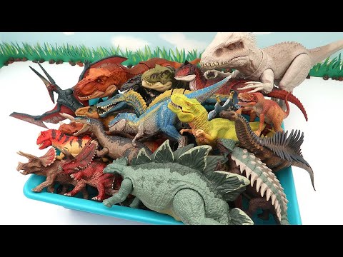100 Dinosaur Box - Jurassic World Dino VS Schleich Dino. Tyrannosaurus Rex 공룡 박스 피규어