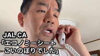 JALのエコノミーシートにウキウキ気分で乗ってしまった結果
