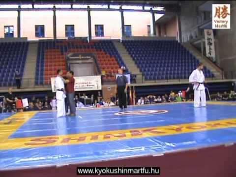 2010 Shinkyokushin EC Logrono: Rózsa Gábor-Tsiklauri Mikheil, Kumite, men 70kg