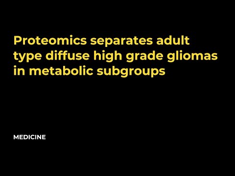 Proteomics separates adult type diffuse high grade gliomas in metabolic subgroups