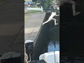 Teeth Knocked Out Jump Fail