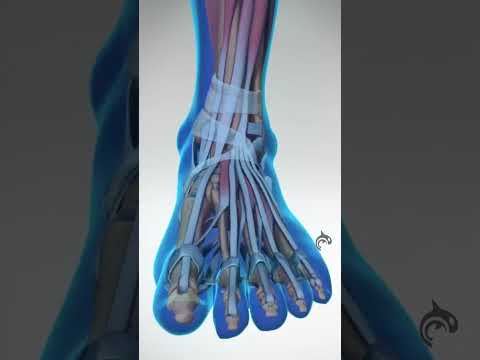 Guess The Spine Injury And Procedure Challenge