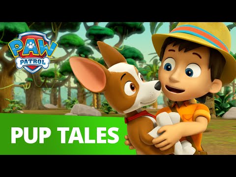 PAW Patrol - Tracker Joins The Pups - Rescue Episode - PAW Patrol Official & Friends!