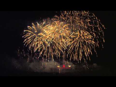 Pyronale 2014: Panda fireworks - China - feuerwerk