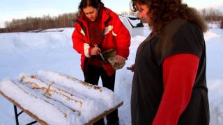 Making maple syrup taffy lollipops or snow candy in Northern Ontario 1. Read How To instructions.