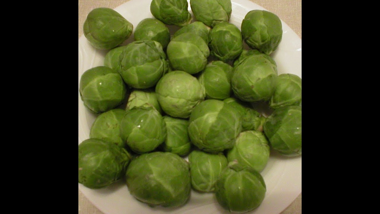 Brussels Sprouts 101- The Basics - YouTube