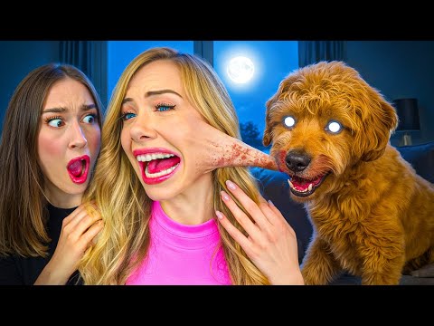 MY POSSESSED DOG BIT MY FACE…