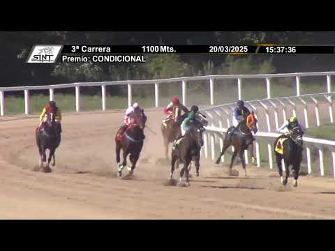 SINT PAYSANDU 250320 c03 - 1° HONOR AMI ABUELO