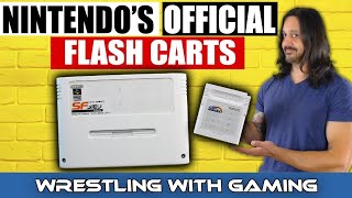 That Time Nintendo Sold Flash Carts & Ran a ROM Site In The 90s | The OTHER Nintendo Power