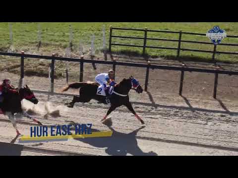 VII GP Velocidade Nordeste - Primeiro páreo classificatório