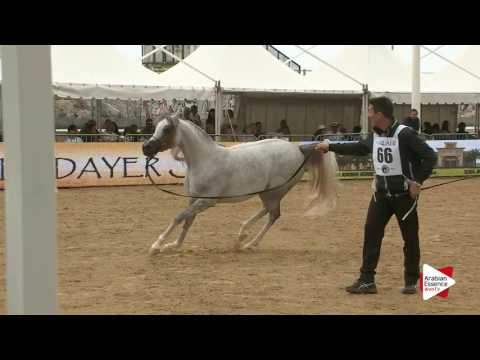 Menton 2016 - Class 4